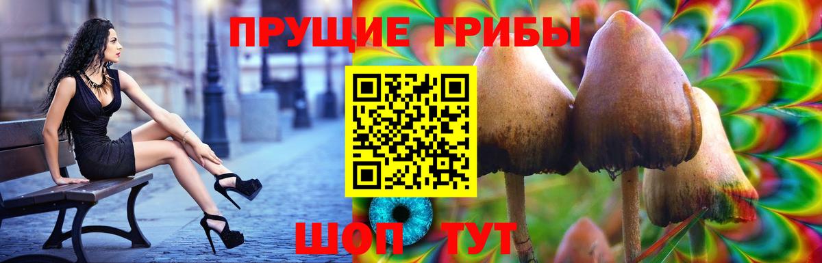 Псилоцибиновые грибы GOLDEN TEACHER Черняховск