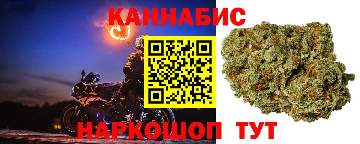 Конопля гибрид Черняховск